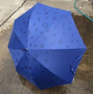 【ふるさと納税】とち介の雨日和～雨の日が楽しみになる傘～(長傘)【玩具 雑貨 日用品 人気 おすすめ 】