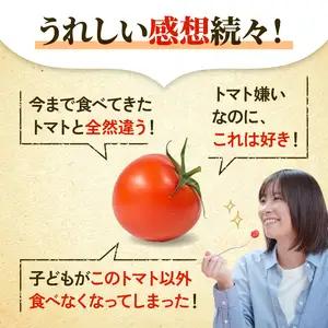 先行予約 訳あり トマト ごほうびとまと 700g トマト