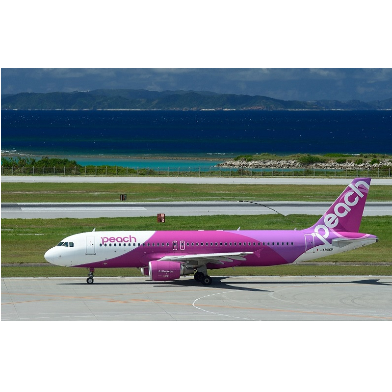 PeachでGo！！（泉佐野市内宿泊編）旅行クーポン（300,000円分） 099H389_イメージ2