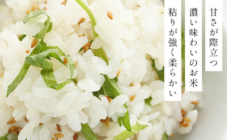 令和7年産!ファーム坂口の特別栽培米 ゆめぴりか精米 5kg