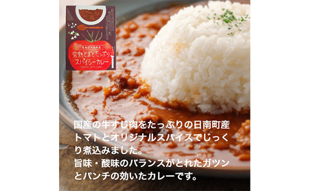 星降る里 鳥取県日南町の完熟とまと たっぷりカレー レトルト 2種6個 セット