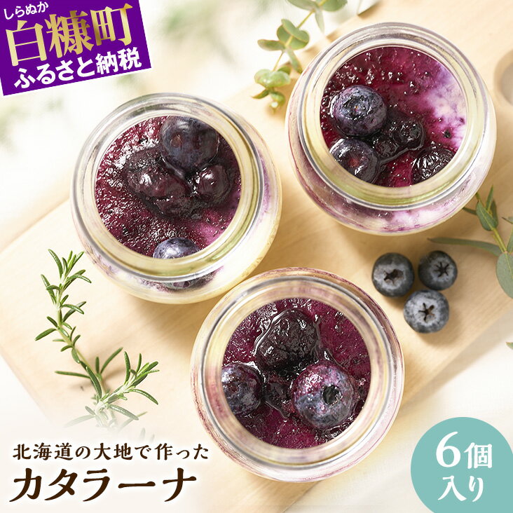【ふるさと納税】 カタラーナ 6個 セット 北海道産 ふるさと納税 プリン かたらーな アイス ケーキ オーガニック 無農薬 有機 ギフト 贈答用 にも 北海道 白糠町