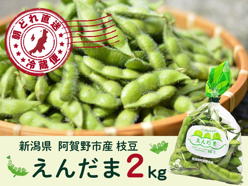 阿賀野市産えだまめ 「えんだま」 2kg 2P03014