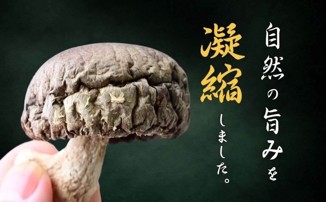 しいたけ シイタケ 乾しいたけ 干ししいたけ 干し椎茸 干しシイタケ 100g 龍ノ傘 国産 乾燥椎茸