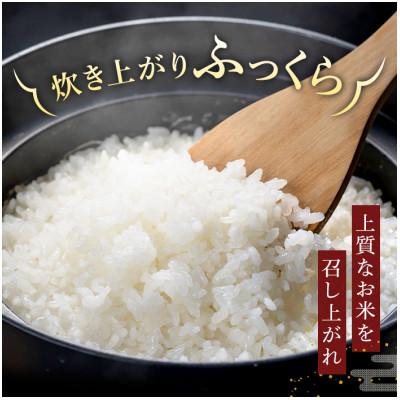 ふるさと納税 岐阜市 【令和7年産】岐阜県産　飛騨こしひかり5kg　精米 |  | 01