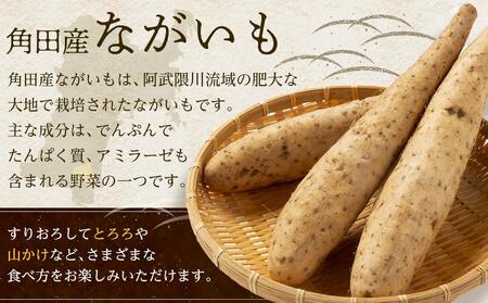 宮城県角田市産ながいも約４kg（３～５本） 長芋 長いも ながいも とろろ 