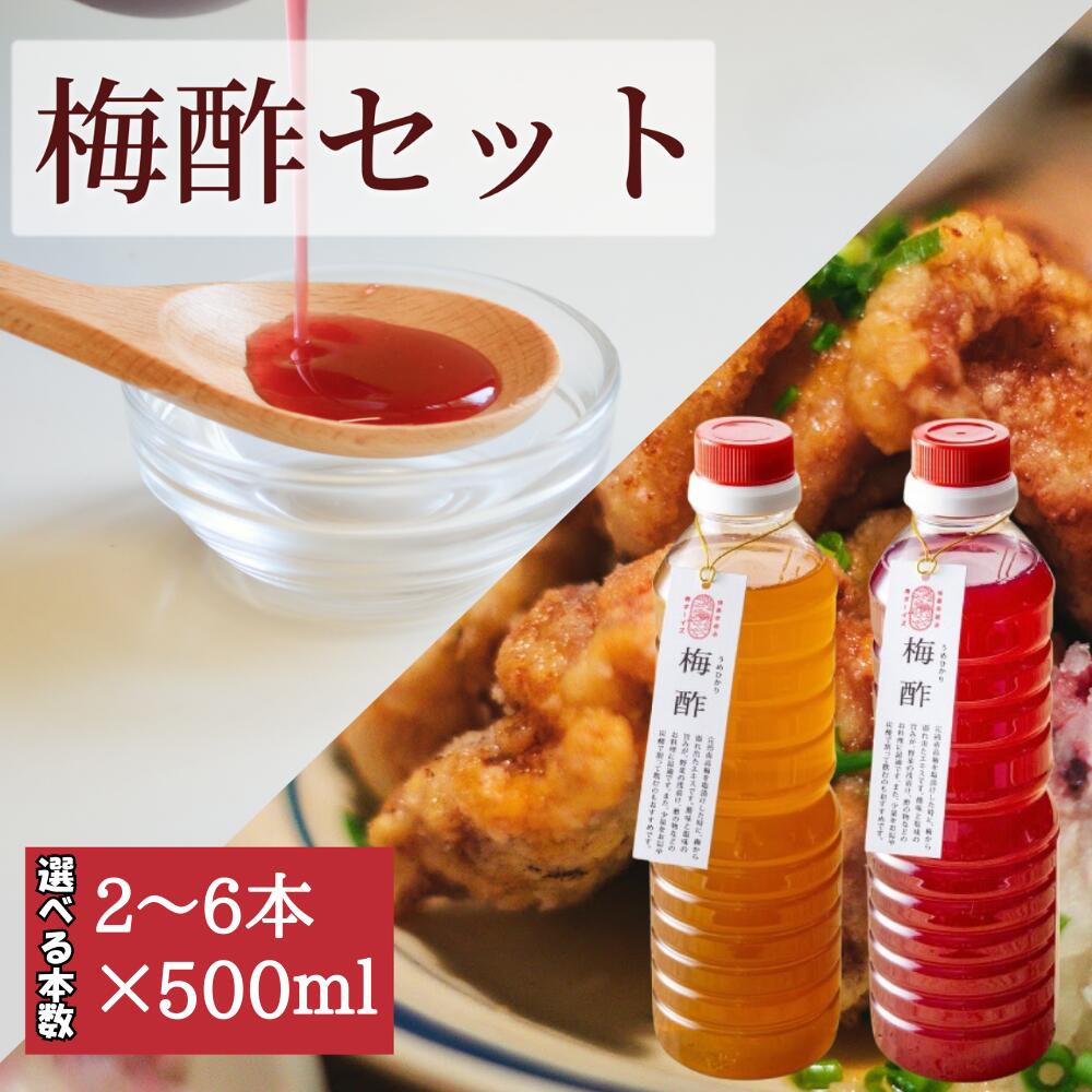 【ふるさと納税】 無添加 紀州南高梅の梅酢 選べる2～6本セット（白・紫蘇）天日塩使用 梅ボーイズ うめひかり