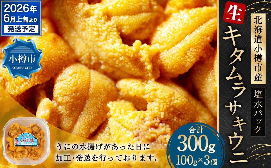 
            生うに 300g うに ウニ キタムラサキウニ 塩水パック 魚介類 水産物 海産物 海鮮 ホイル焼き 茶わん蒸し パスタ うに鍋 うにしゃぶ 刺身 ウニ丼 海鮮丼 手巻き寿司 海の幸 北海道 小樽市【2026年6月上旬-7月下旬 発送予定】
          
