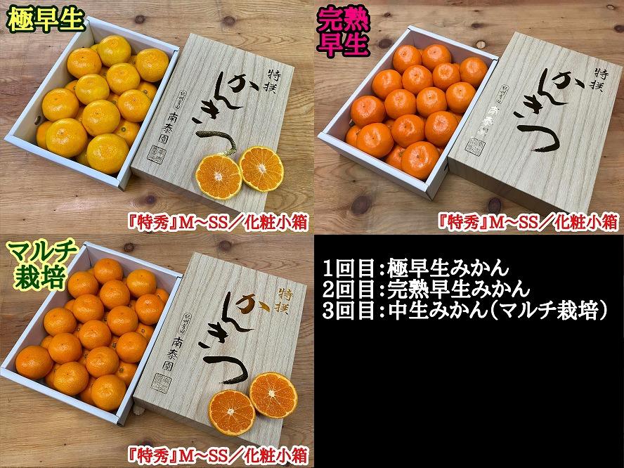 定期便 先行受付 2024年 10月発送スタート 全3回 有田みかん 食べくらべ 3種 化粧小箱 各約 2kg 南泰園