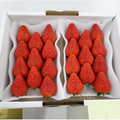 【ふるさと納税】紅ほっぺ・きらぴ香食べ比べセット(各4パック　計8パック)【配送不可地域：離島・北海道・沖縄県・四国・九州】【1676919】