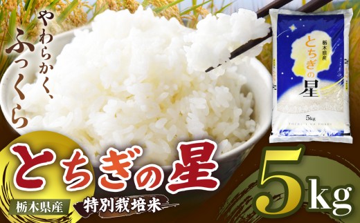【定期便3回】栃木県矢板市産 とちぎの星 5kg 特別栽培米 【先行予約】新米  |  栃木県 矢板市