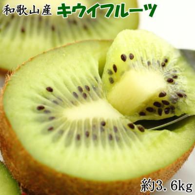 ふるさと納税 美浜町 和歌山の下津で採れたキウイフルーツ約3.6kg(玉数おまかせ・秀品)(美浜町)