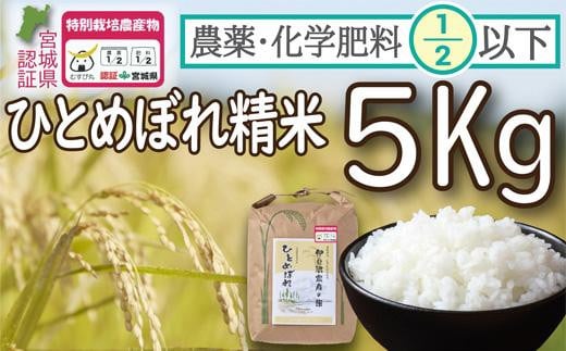 新米 特別栽培米 ひとめぼれ 精米5kg 宮城県登米市産【令和6年度産】 農薬・化学肥料節減米 宮城県認証 白米 うるち米 5キロ