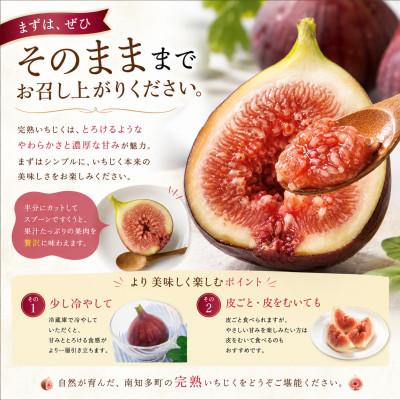 ふるさと納税 南知多町 【2026年産】愛知県南知多町産　訳あり いちじく 約350g×4パック 計約1.4kg |  | 01
