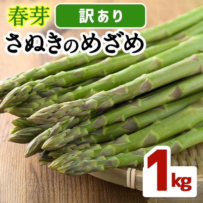 【ふるさと納税】＜期間限定！2025年2月下旬以降順次発送予定＞＜訳あり・家庭用＞春芽！アスパラガス「さぬきのめざめ」(約1kg)国産 野菜 アスパラガス アスパラ 産地直送 新鮮 冷蔵便 【man118】【Aglio nero】