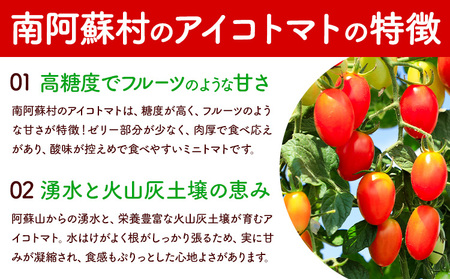 ミニトマト アイコ 約3kg ますだふぁーむ《7月上旬-11月末頃出荷》熊本県 南阿蘇村 アイコトマト 野菜 旬 夏野菜 トマト