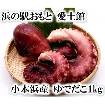 ふるさと納税 岩泉町 小本浜産　ゆでだこ(ミズダコ)1kg