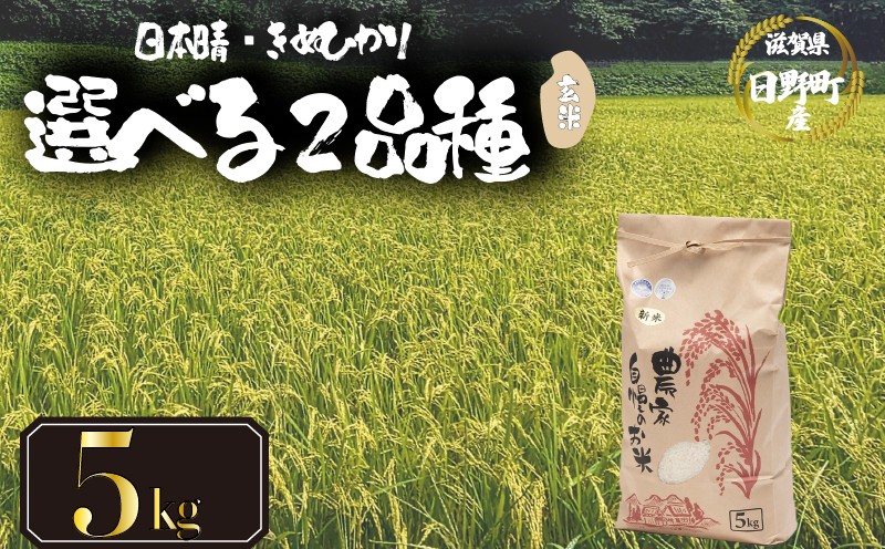 
            【 令和7年産 新米 5kg 】 選べる 品種 日本晴 きぬひかり 米 玄米 2025年産 にほんばれ キヌヒカリ 国産 滋賀県 日野町 農家直送 お米 おこめ こめ 産地直送 ふるさと納税
          