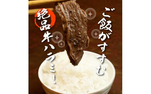 牛ハラミ 1kg×3袋 | 牛肉 ビーフ 厚切り 熟成 冷凍 大容量 焼肉 厚さ約8mm 牛 肉 お肉 精肉 スライス BBQ バーベキュー おかず おつまみ 北海道 滝川市