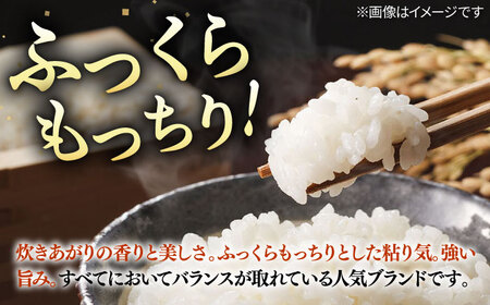 【全3回定期便】 壱岐産米 こしひかり 5kg 《壱岐市》【長米壱岐営業所】[JCZ031]