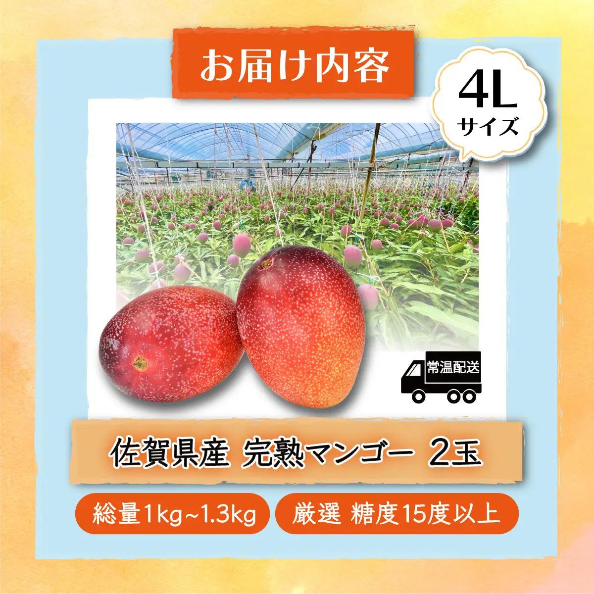  厳選！濃厚完熟マンゴー 4Lサイズ（糖度15度以上）【2026年5月中旬頃から6月初旬発送】 D-125