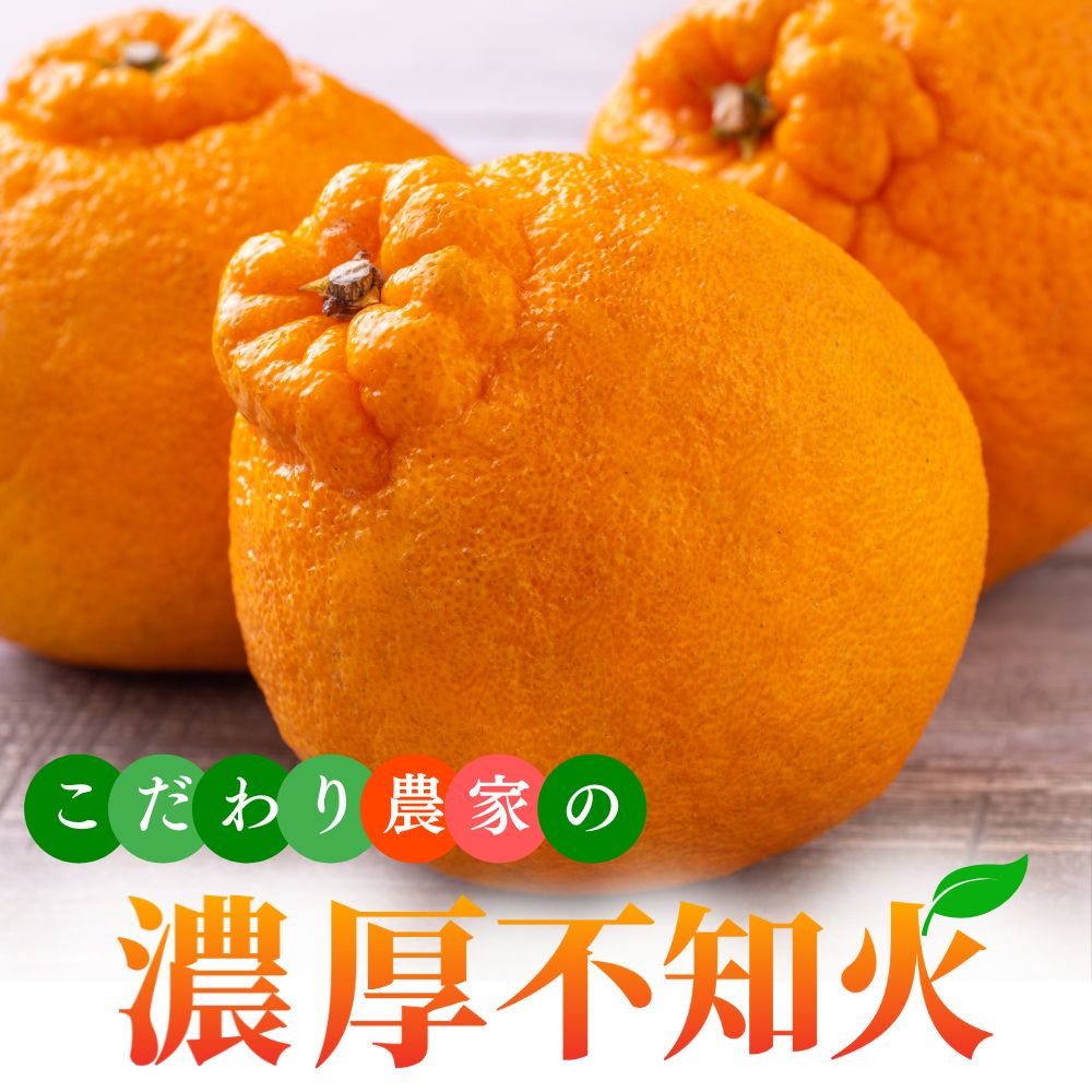 【ふるさと納税】【先行予約】こだわり農家の濃厚 不知火 ※2026年2月上旬～2026年3月下旬に順次発送 ※北海道・沖縄・その他離島地域は発送不可 / みかん 蜜柑 果物 くだもの 果実 フルーツ 国産 和歌山県広川町