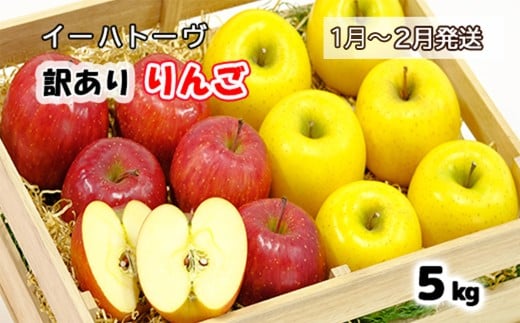 イーハトーヴ 訳アリ りんご 約５ｋｇセット《2026年1月より発送予定/予約受付》 【280-1】