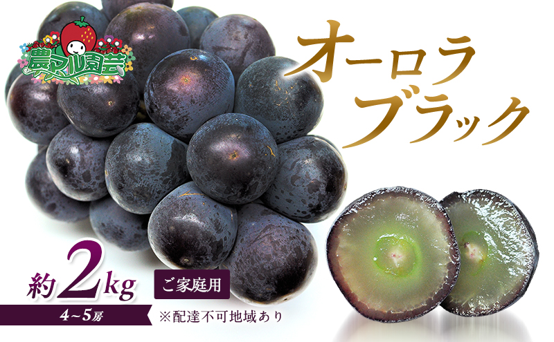 ぶどう 2025年 先行予約 オーロラブラック 約2kg 4～5房 ご家庭用 ブドウ 葡萄 フルーツ 果物 岡山 赤磐市産 農マル園芸 あかいわ農園