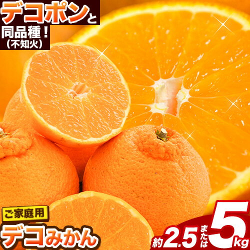 【ふるさと納税】不知火 訳あり デコみかん 約2.5kg or 約 5kg 12〜24玉前後《2026年2月上旬-4月末頃出荷》デコポン（不知火）と同品種 不知火 熊本県産 (長洲町産含む) 訳あり デコ 柑橘 みかん フルーツ 果物 旬 期間限定 ご家庭用
