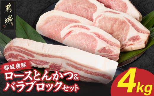 
                  都城産豚ロースとんかつ&バラブロックセット4kg_25-021-4kg_(都城市) 都城産豚 豚肉 ロース とんかつ バラ ブロック セット ポークソテー カツカレー 角煮 酢豚 おかず
                