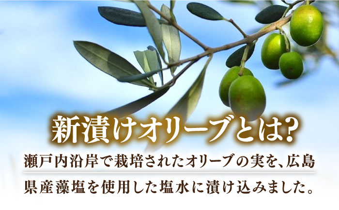 フレッシュな香り！【期間限定】瀬戸内のオリーブと天然塩の風味感じるオリーブの新漬け 65g×6個 調味料 油 江田島市/リベラグループ株式会社 [XAJ099] オリーブオイル