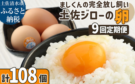 【ふるさと納税】土佐ジローの卵 定期便（12個入り×9回）もみ殻梱包 【J00134】