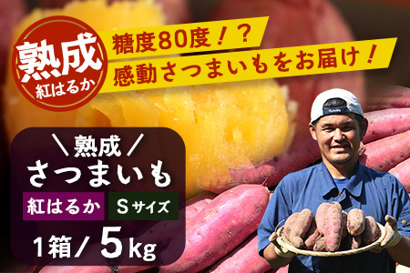 【先行予約・2025年11月下旬より順次発送】鹿児島県産さつまいも・熟成紅はるか5kg(1箱)Sサイズ｜ さつまいも べにはるか先行予約 野菜 やさい 食品 人気 おすすめ 送料無料 南大隅町（AX72212）
