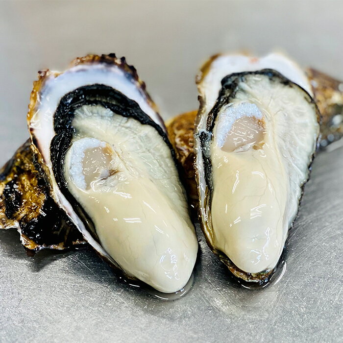 【ふるさと納税】殻付き牡蠣（冷凍）選べる内容量 2kg・5kg 宮城県産 生牡蠣 牡蛎 牡蠣 大粒 カキ オイスター カキフライ 牡蠣鍋 海鮮 国産 魚介 産地直送 海のミルク 殻付き 冷凍【株式会社和がき】ta712・ta713