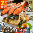 【ふるさと納税】【限定】 《7日以内発送》 天然 紅サケ 1kg & 塩さば 6枚 セット 切身 フィレ 選りすぐり 鮭 鯖 魚 海の幸 海鮮 魚介 食品 食べ物 おかず 料理 水産加工品 お取り寄せ 魚鶴商店 冷凍 和歌山県 湯浅町 送料無料