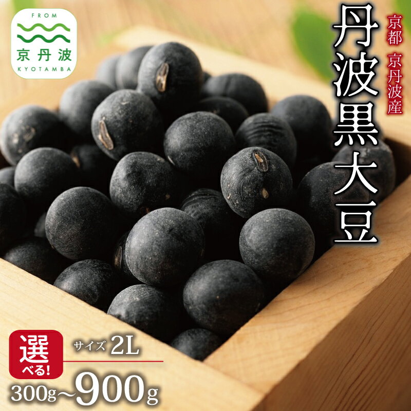 【ふるさと納税】京丹波町産 丹波黒大豆 2L 300g 600g 900g 選べる 数量 生産者限定 京都 丹波 黒豆 生豆 令和6年度産