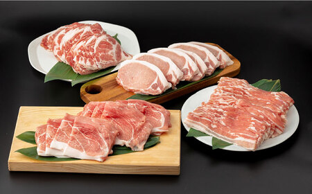 【3回定期便】SPF豚 やっちゃおいしか芳寿豚バラエティセット 計3000g / 豚肉 定期便 ほうじゅとん SPF豚 spfポーク 小分け バラ しゃぶしゃぶ / 南島原市 / 芳寿牧場 [SEI0