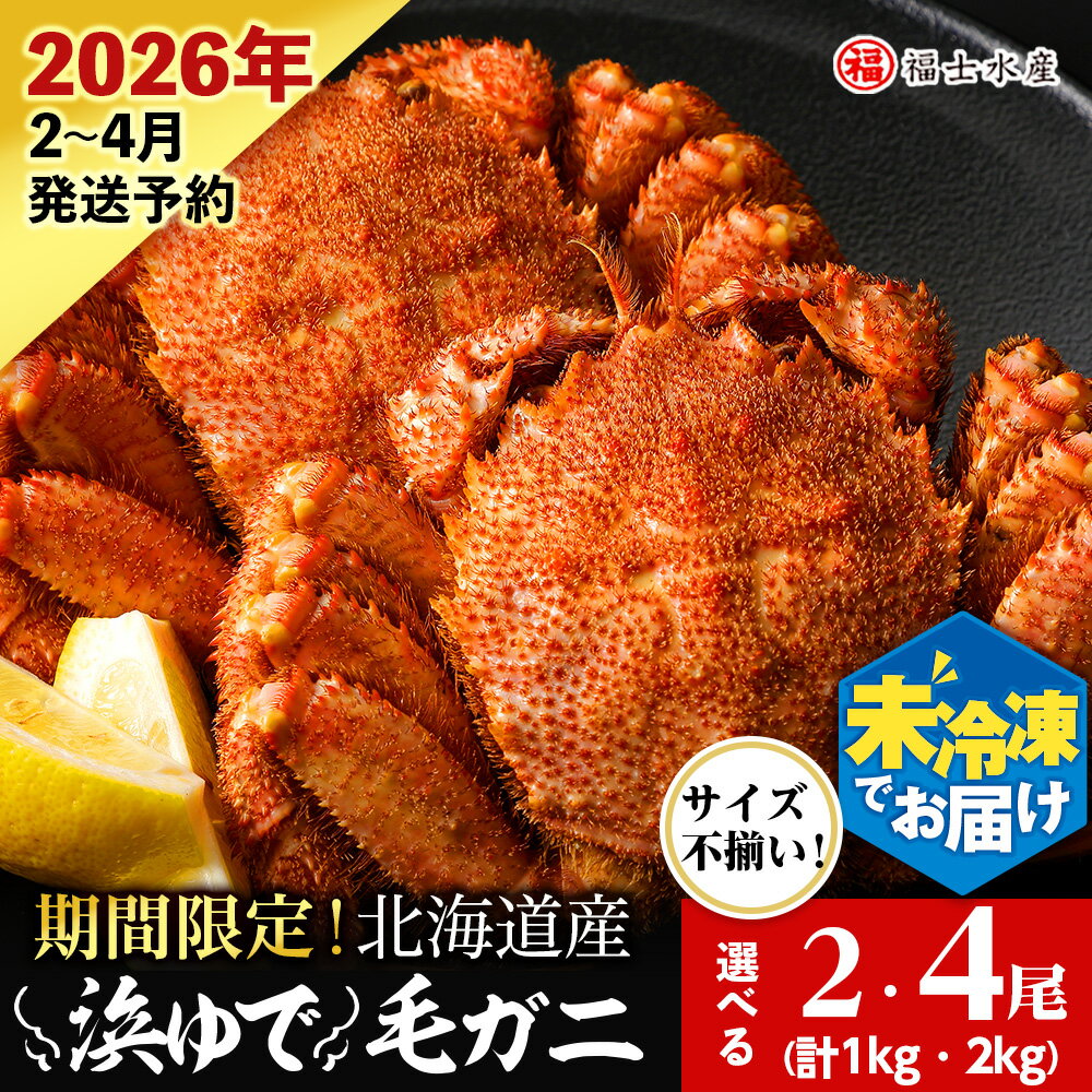 【ふるさと納税】【2026年発送予約】チルドでお届け！ 浜茹で毛ガニ中サイズ 選べる2尾～4尾 （不揃い合計約1kg～2kg） 〈福士水産〉北海道ふるさと納税 利尻富士町 ふるさと納税 北海道 海鮮 かにふるさと納税 北海道 カニ ふるさと納税 北海道 蟹 毛蟹 毛ガニ 冷蔵
