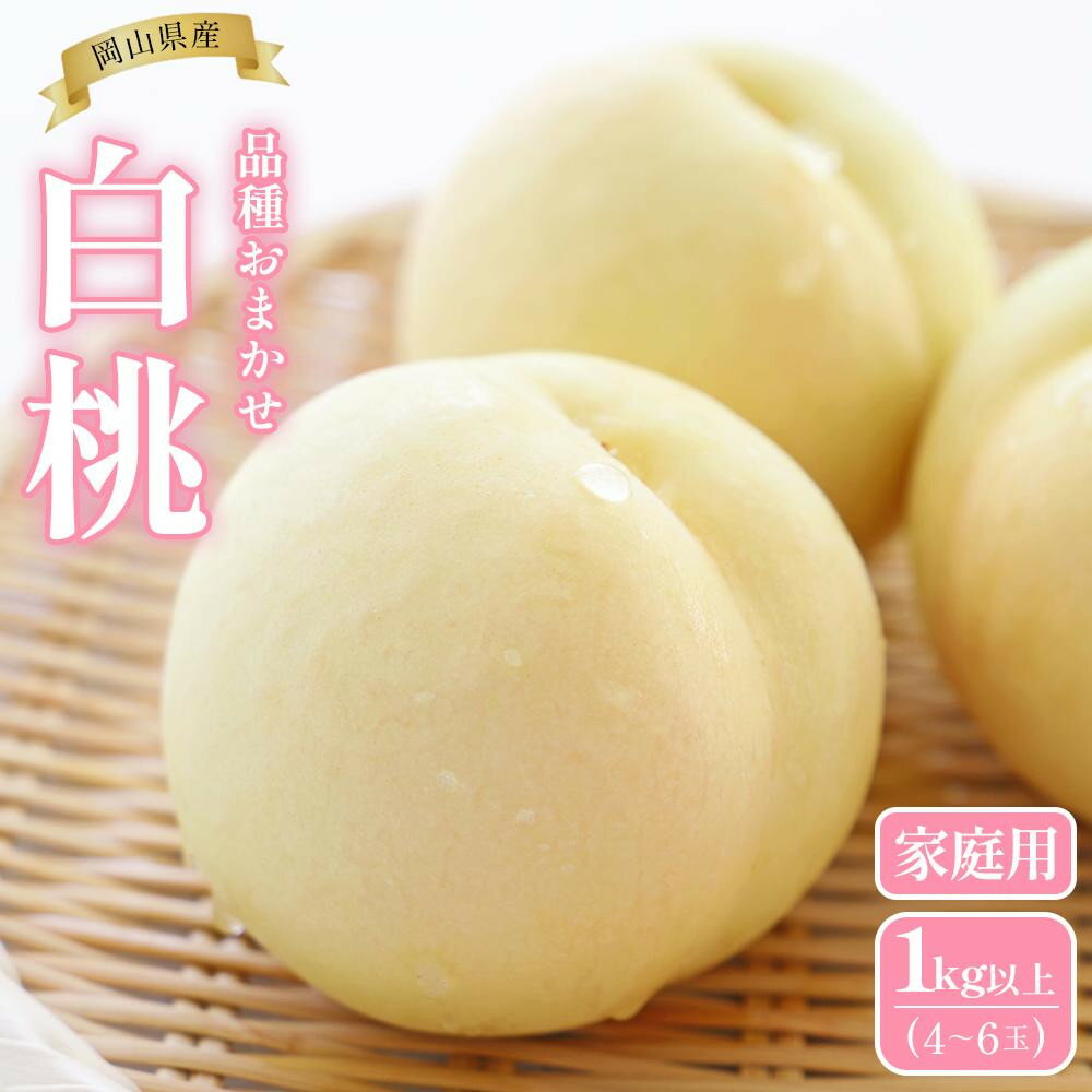 【ふるさと納税】【種類が選べる】2026年 岡山県産 白桃 1kg以上（4～6玉）家庭用又は1.5kg以上（4～6玉）贈答用 品種おまかせ | もも フルーツ 果物 くだもの 食品 人気 おすすめ 送料無料