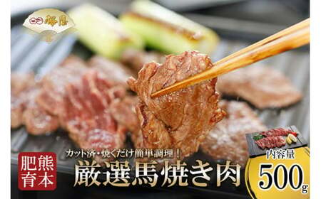 【桜屋】熊本と畜 馬肉 焼肉用 500g カット済 焼くだけ簡単 熊本 阿蘇 熊本 本場の味 熊本の味 肉感 旨み ジューシー 老舗専門店 馬刺しの桜屋 ギフト 贈答用 記念日 冷凍