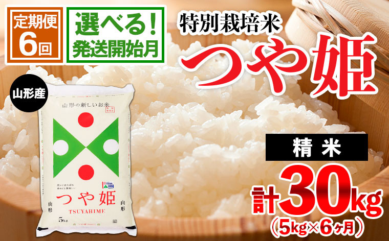 
【定期便6回】令和6年産米★発送開始月が選べる★山形産 特別栽培米 つや姫 5kg×6ヶ月(計30kg) 定期便 人気 米 ブランド米 新米 定期便 精米したて 山形 FY24-474
