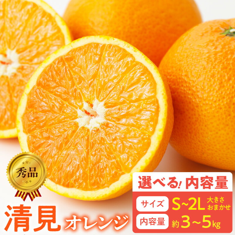 【ふるさと納税】【限定】【2026年先行予約】 秀品 清見オレンジ 和歌山 有田 S ～ 2L サイズ 大きさ お任せ 選べる 内容量 約3kg ～ 約5kg 和歌山県 湯浅町 送料無料
