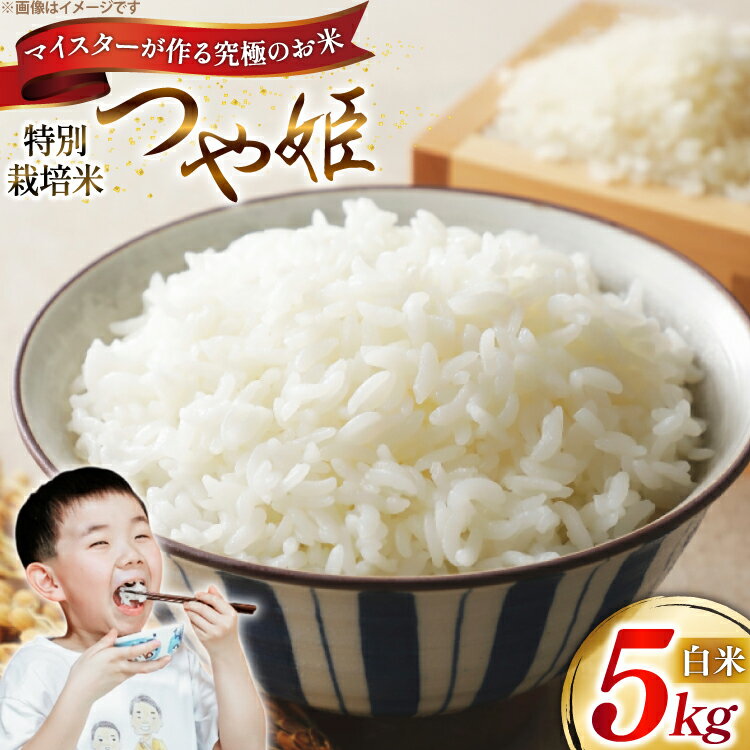 【ふるさと納税】 米 令和7年 つや姫マイスターが作る 特別栽培米 つや姫 5kg [遠藤農園 山形県 高畠町 tk06ayt120012] 5キロ お米 ブランド米 ごはん ご飯 白米 精米 こめ