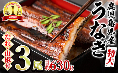東串良町のうなぎ蒲焼(無頭)(3尾・計約630g・タレ、山椒付)【アクアおおすみ】