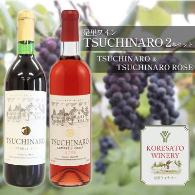 ふるさと納税 赤磐市 是里 ワイン TSUCHINARO 2本 セット 岡山 赤磐市[NO5765-0895]