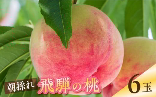 【2026年先行予約】朝採れ飛騨のこだわり桃 秀品 6玉 1.5キロ 黒内果樹園 桃 もも モモ 果物 フルーツ お取り寄せ 飛騨 高レビュー 桃 もも フルーツ くだもの 先行予約 18000円