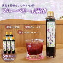 【ふるさと納税】＜果実と粗糖だけで作ったお酢＞飲むブルーベリー果実酢　5本セット ふるさと納税 ブルーベリー 千葉県 木更津 送料無料 KT005