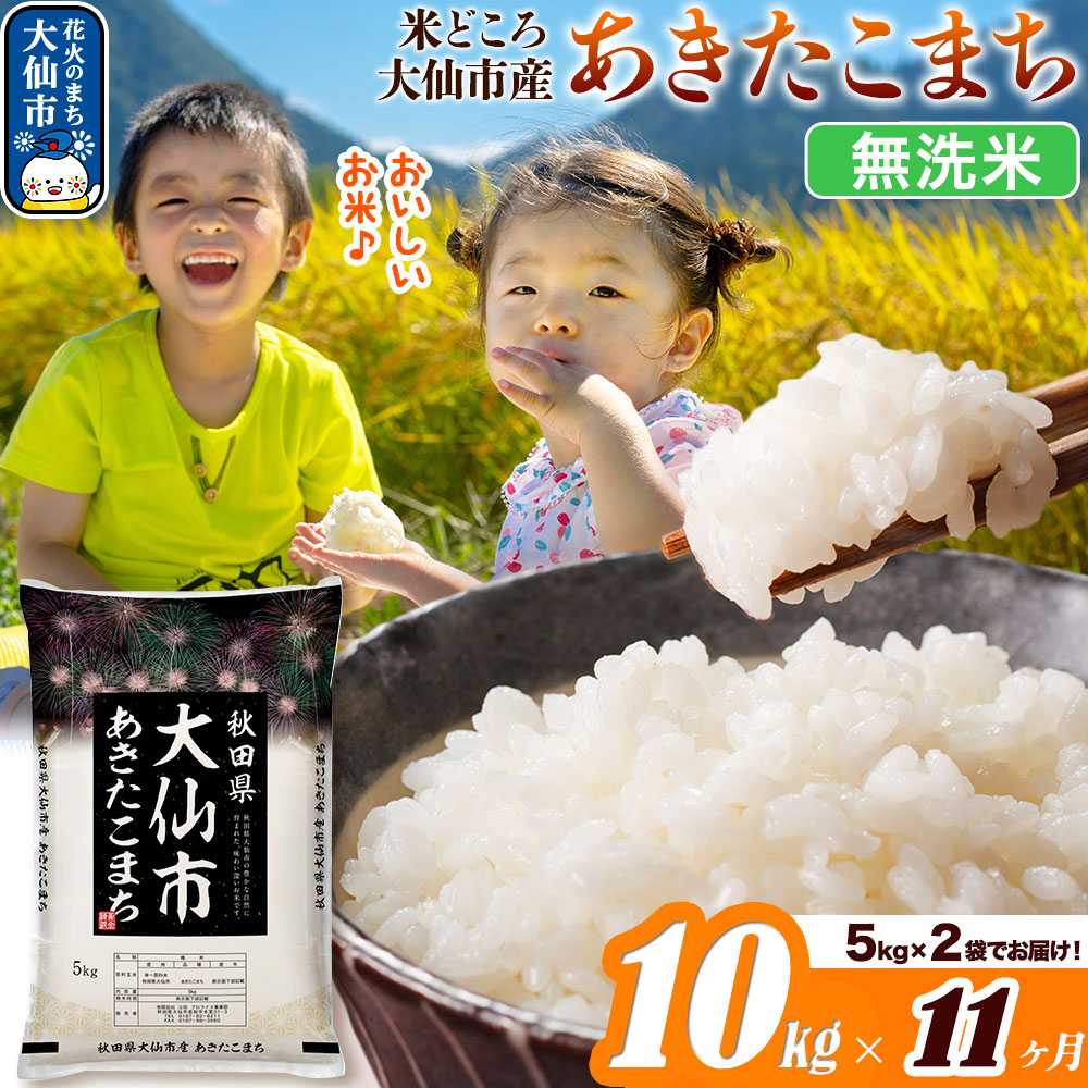 米 令和7年産《定期便11ヶ月》【無洗米】米どころ秋田県大仙市産 あきたこまち 10kg（5kg×2袋）