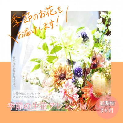 ふるさと納税 芸西村 【毎月定期便】芸西村産季節のアレンジ　アレンジメントM【t160tmf】全3回