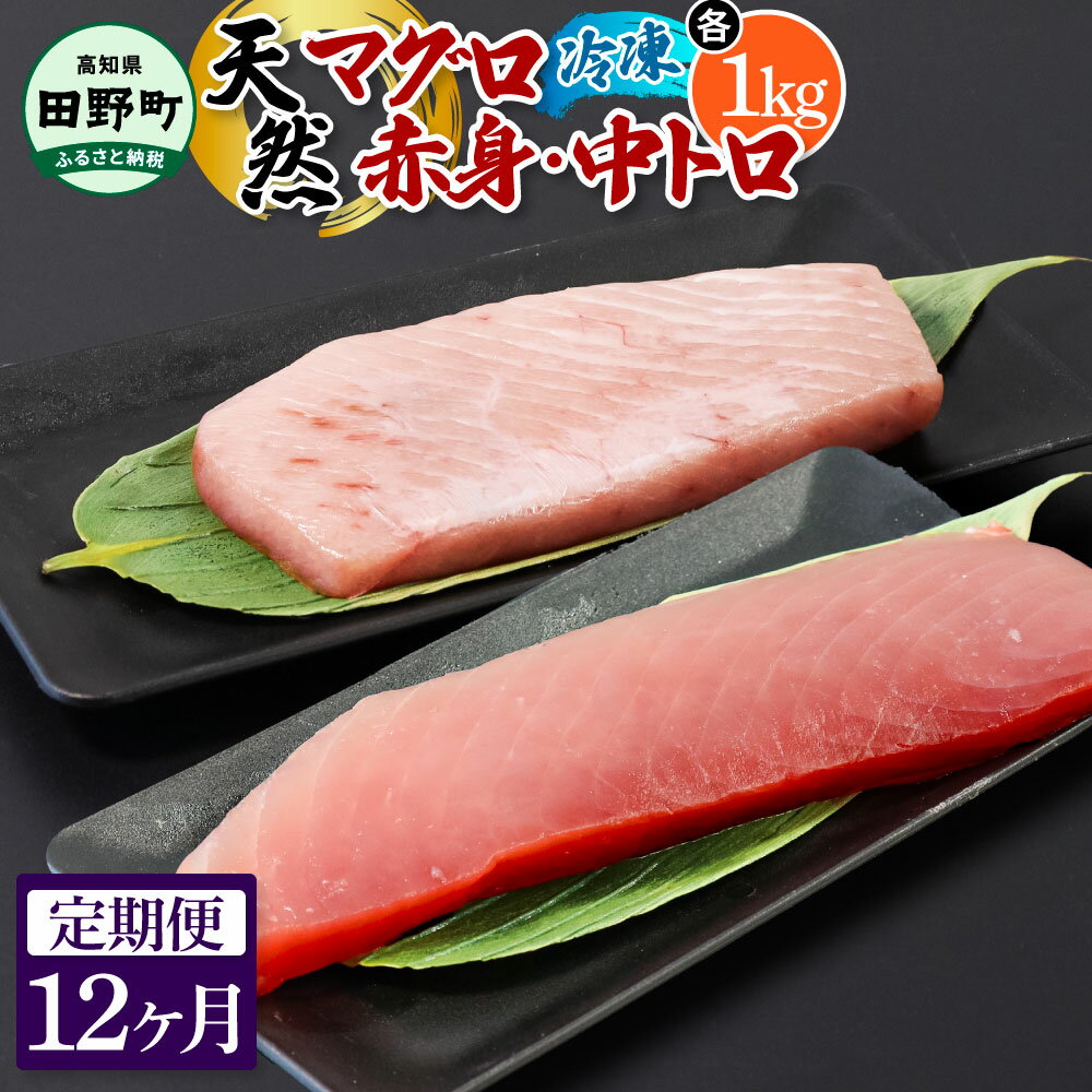 【ふるさと納税】定期便 12ヶ月 天然 マグロ（赤身・中トロ 各1kg） まぐろ 鮪 中とろ 刺身 刺し身 さしみ 魚 魚介 海鮮 海鮮丼 寿司 海の幸 おかず おつまみ 惣菜 おいしい お取り寄せ 冷凍 配送 高知県 田野町 ふるさとのうぜい 故郷納税 返礼品 ～四国一小さなまち～
